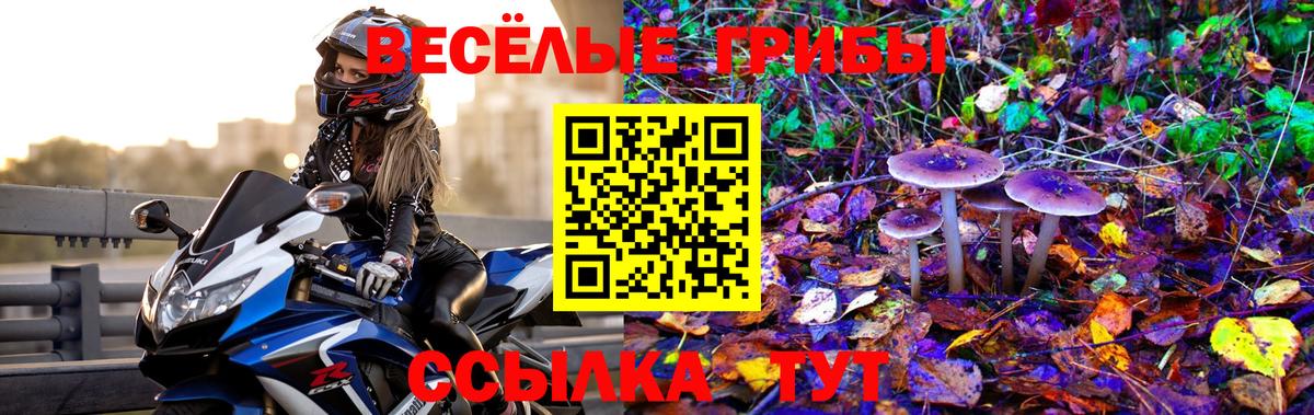 Зеленодольск  Псилоцибиновые грибы мухоморы  купить наркоту  Псилоцибиновые грибы GOLDEN TEACHER  Вход с VPN 
